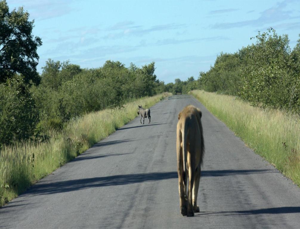 Mokuti Etosha Villa Namutoni Exteriör bild
