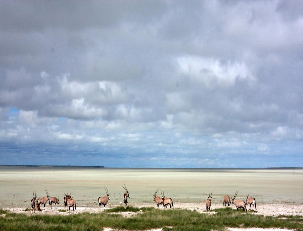 Mokuti Etosha Villa Namutoni Exteriör bild