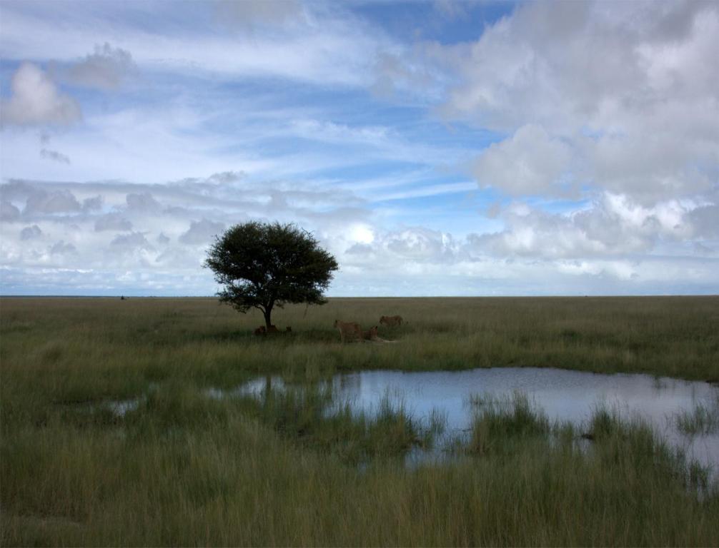 Mokuti Etosha Villa Namutoni Exteriör bild
