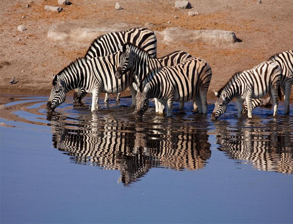 Mokuti Etosha Villa Namutoni Exteriör bild